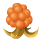 Cloudberry