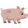 Piggy