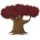 Spice Plant