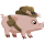 Ilmenskie Jones