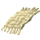 General Fabric