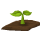 Crop Garden