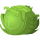 Cabbage