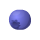 Whortleberry