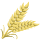 Grain
