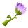 Purple Flower