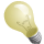 Bulb