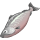 Pocket Salmon