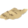 Piece of Torn Manuscript